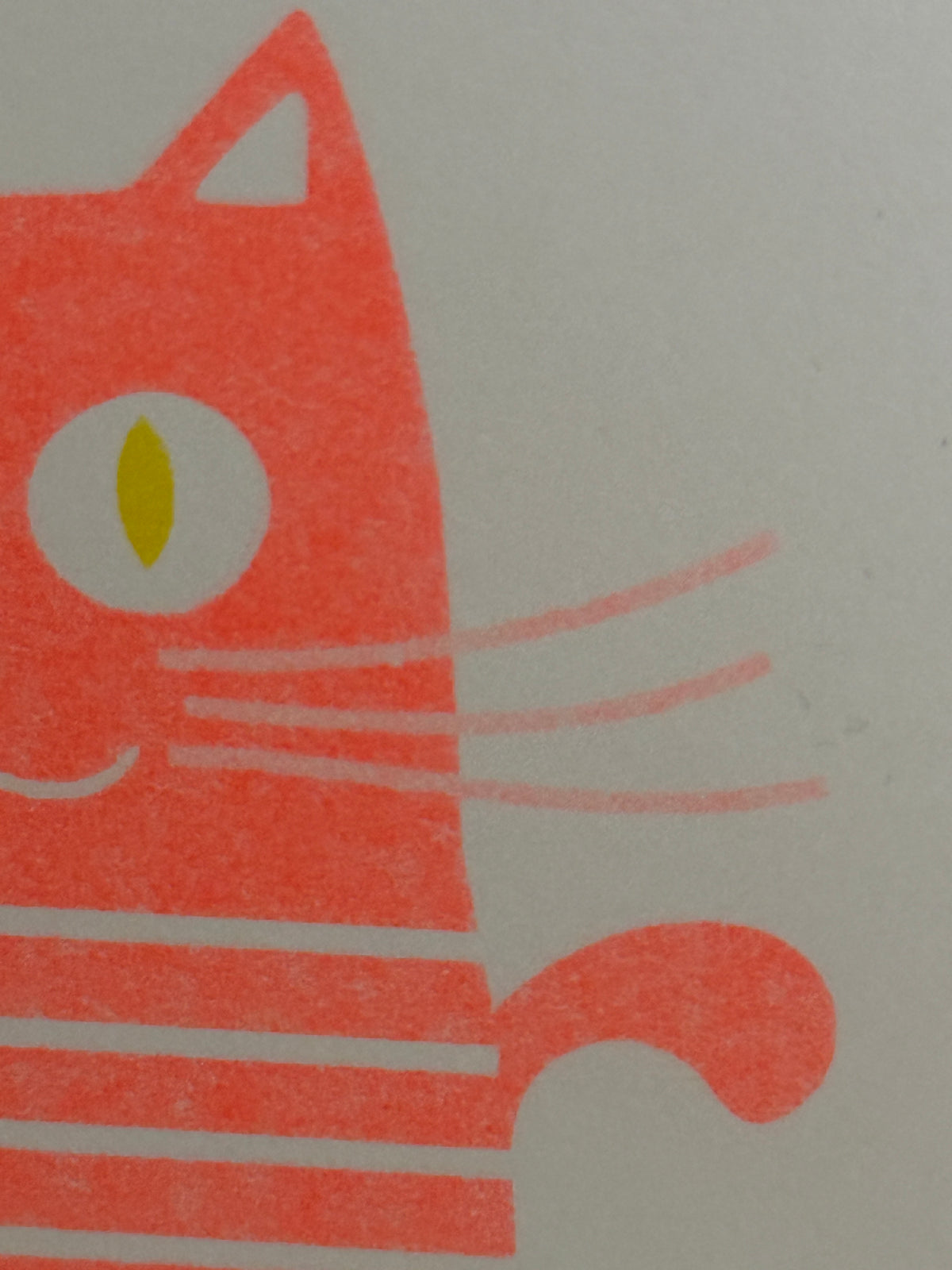 DINA 6 Risografie Postkarte Katze