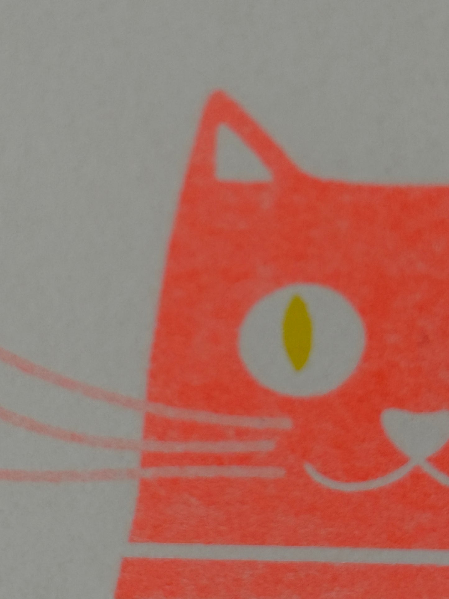 DINA 6 Risografie Postkarte Katze