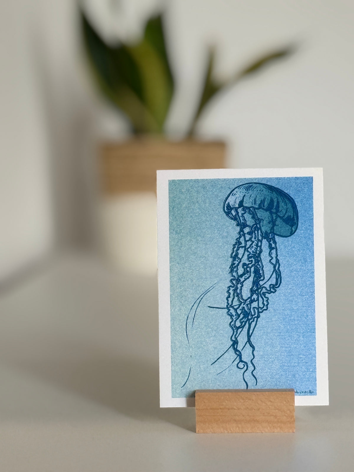 DINA 6 Risografie Postkarte Qualle