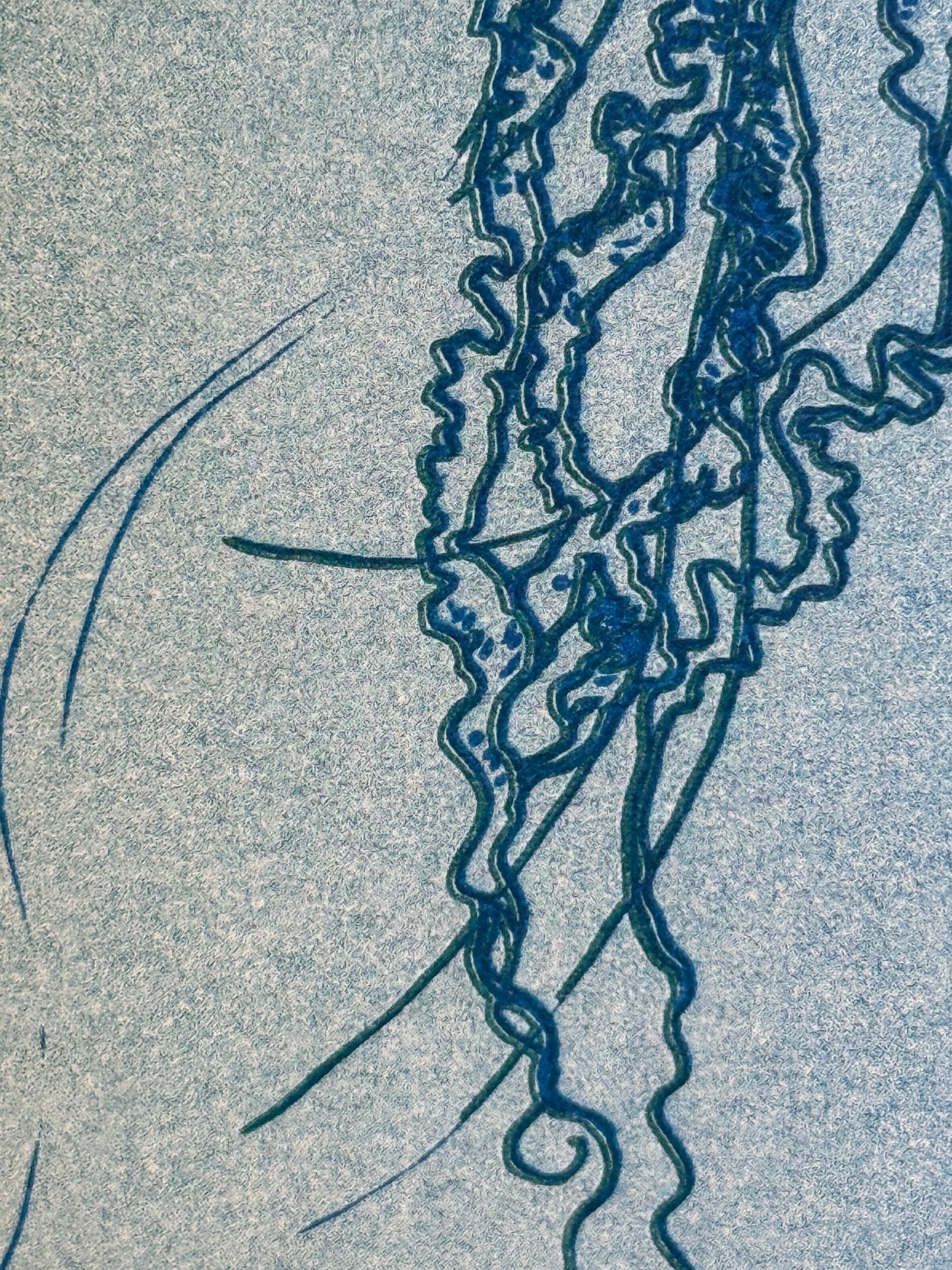 DINA 6 Risografie Postkarte Qualle