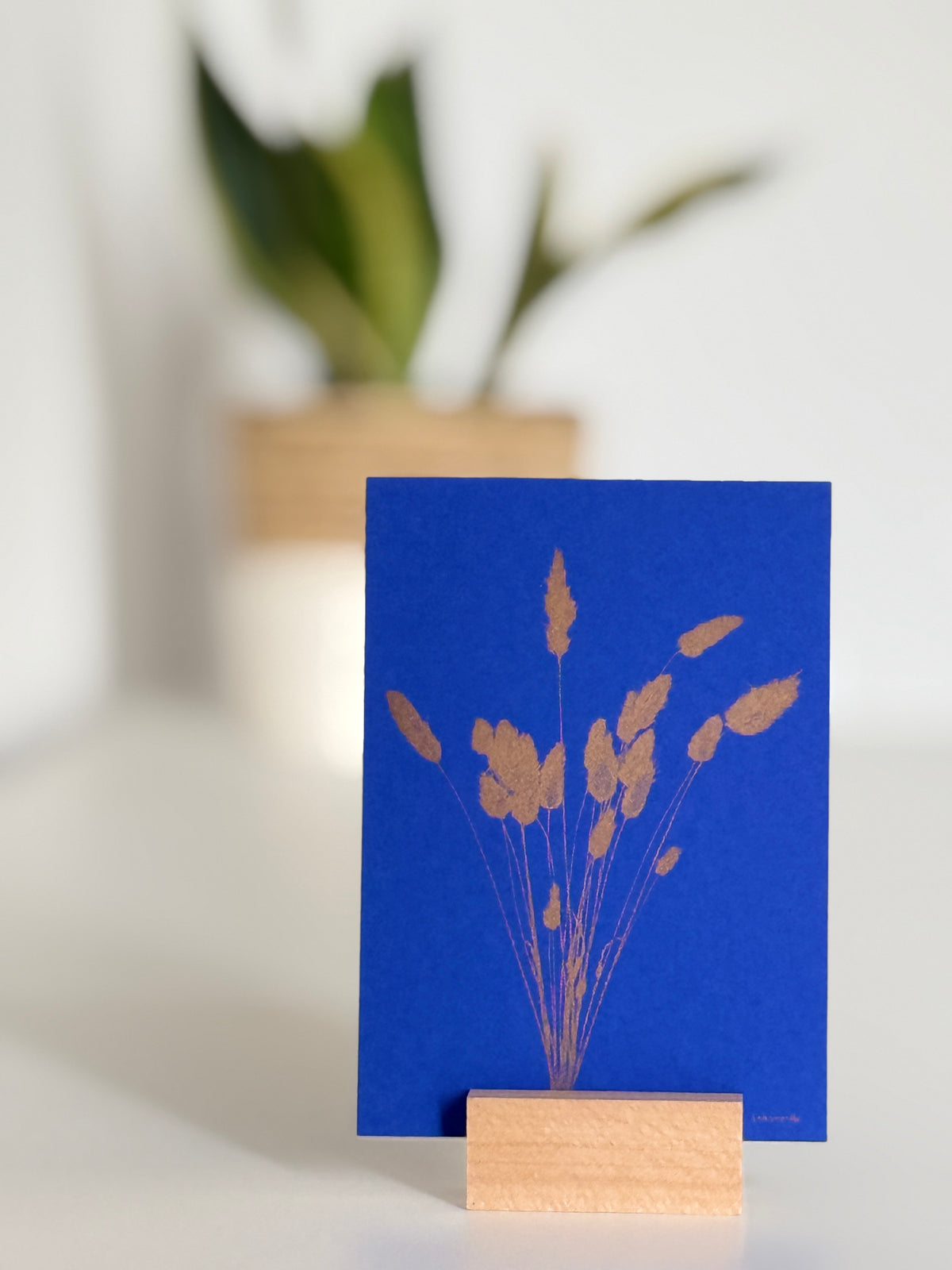 3er Pack DINA 6 Risografie Postkarte Strauss