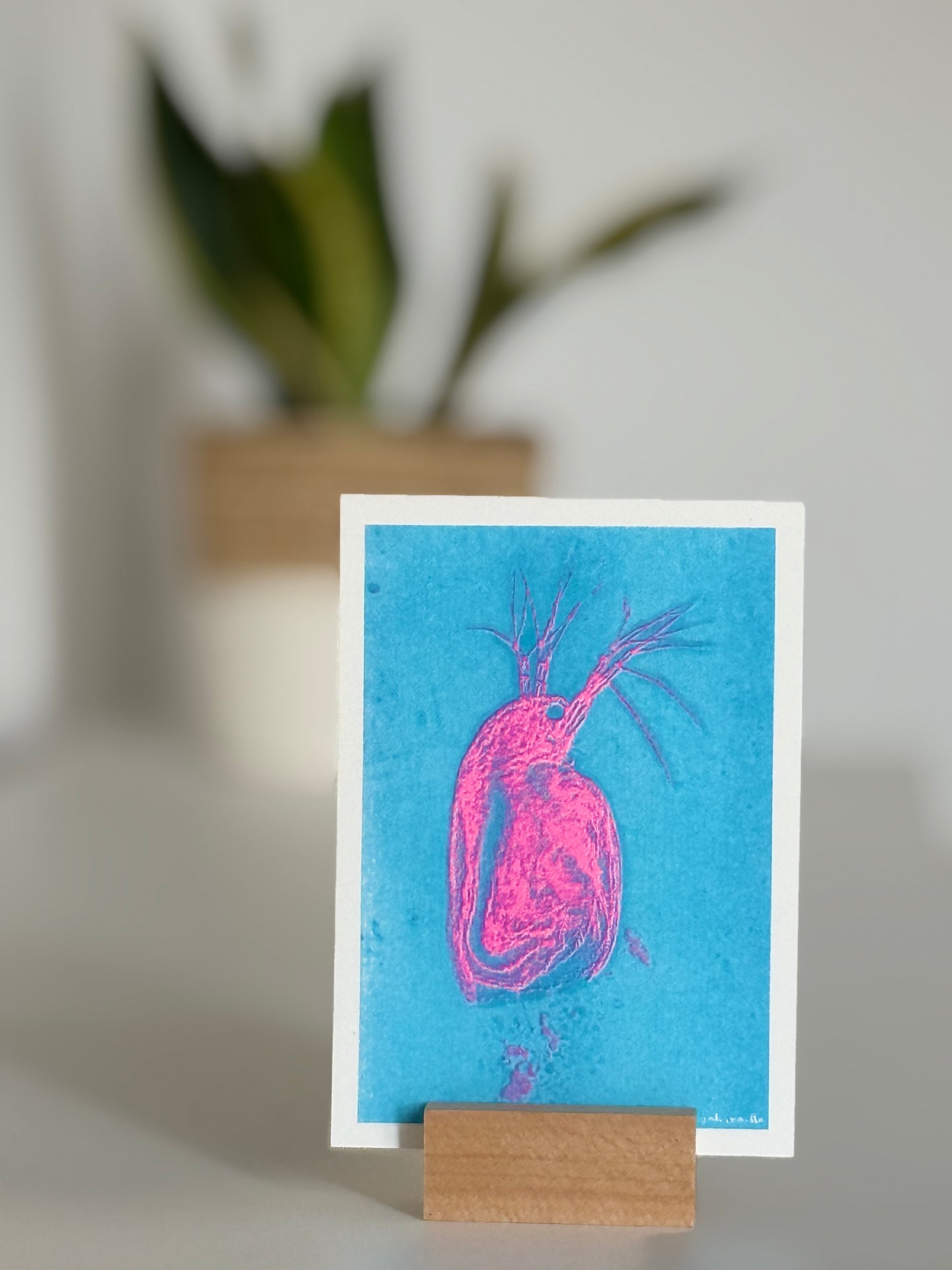 2er Serie DINA 6 Risografie Postkarte Schrimps