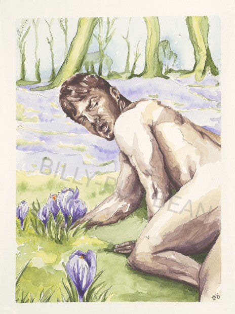 Crocus